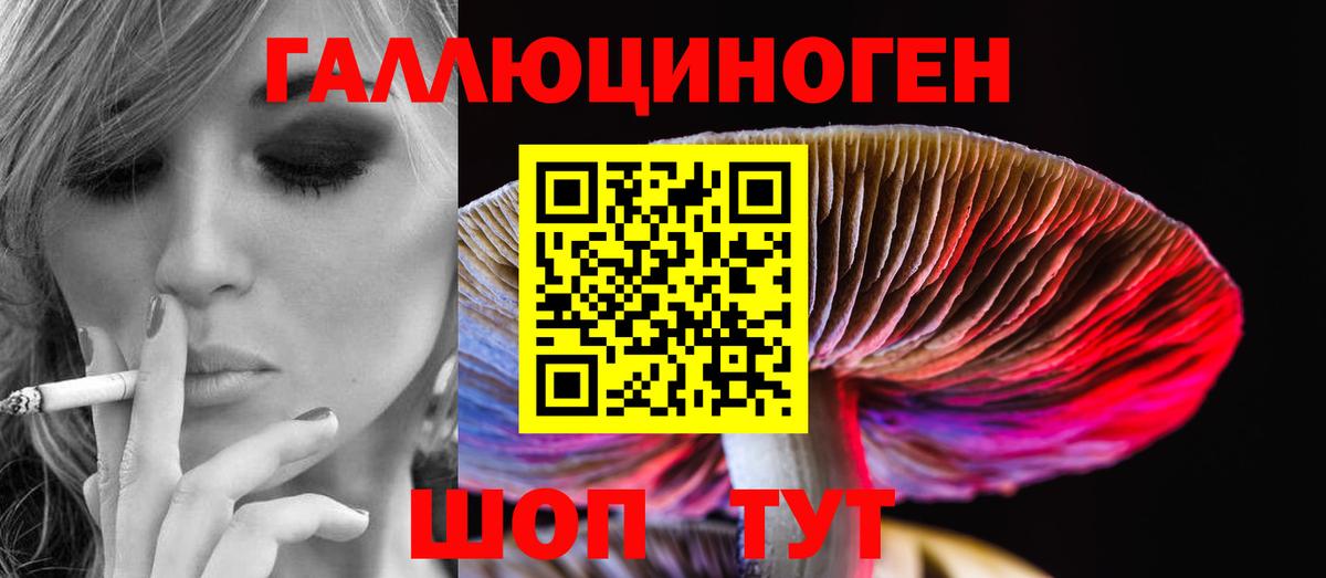 Псилоцибиновые грибы Psilocybine cubensis  Вход с VPN  Псилоцибиновые грибы Cubensis  Новоуральск 